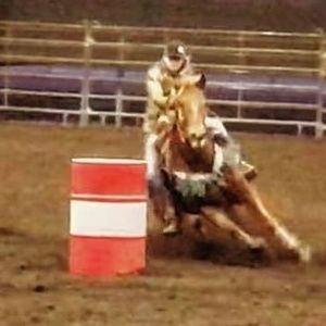 Meet your Posher, Krystal